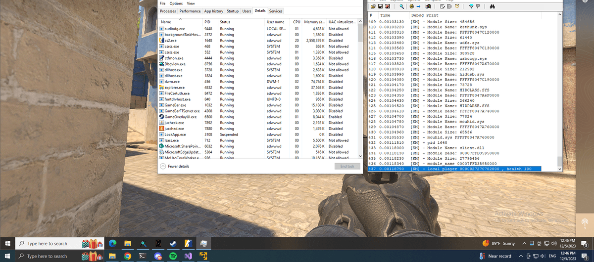 Windows Kernel Driver